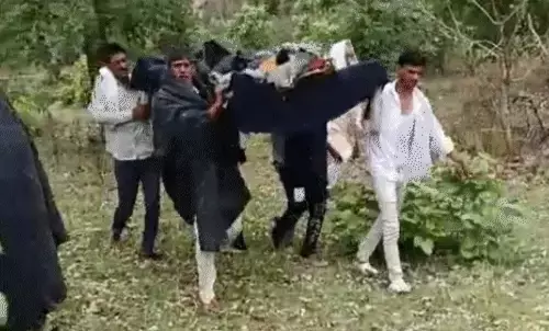 Lalitpur CDO Bee attack