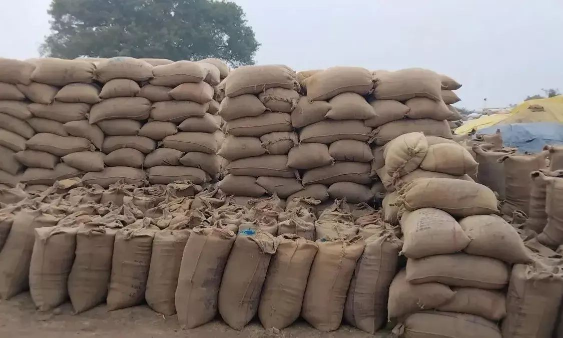 भीगेगा धान : बारिश आ गई पर उपार्जन केंद्रों से पूरा उठाव नहीं, 211 करोड़ के धान पर गहराया संकट धान की बरबादी