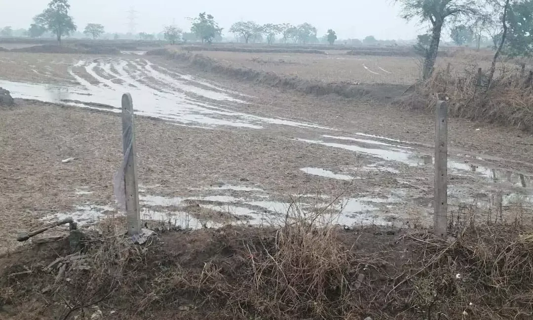 Heavy rain Fields filled water