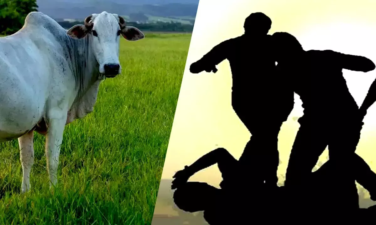 Delhi Beef smuggling