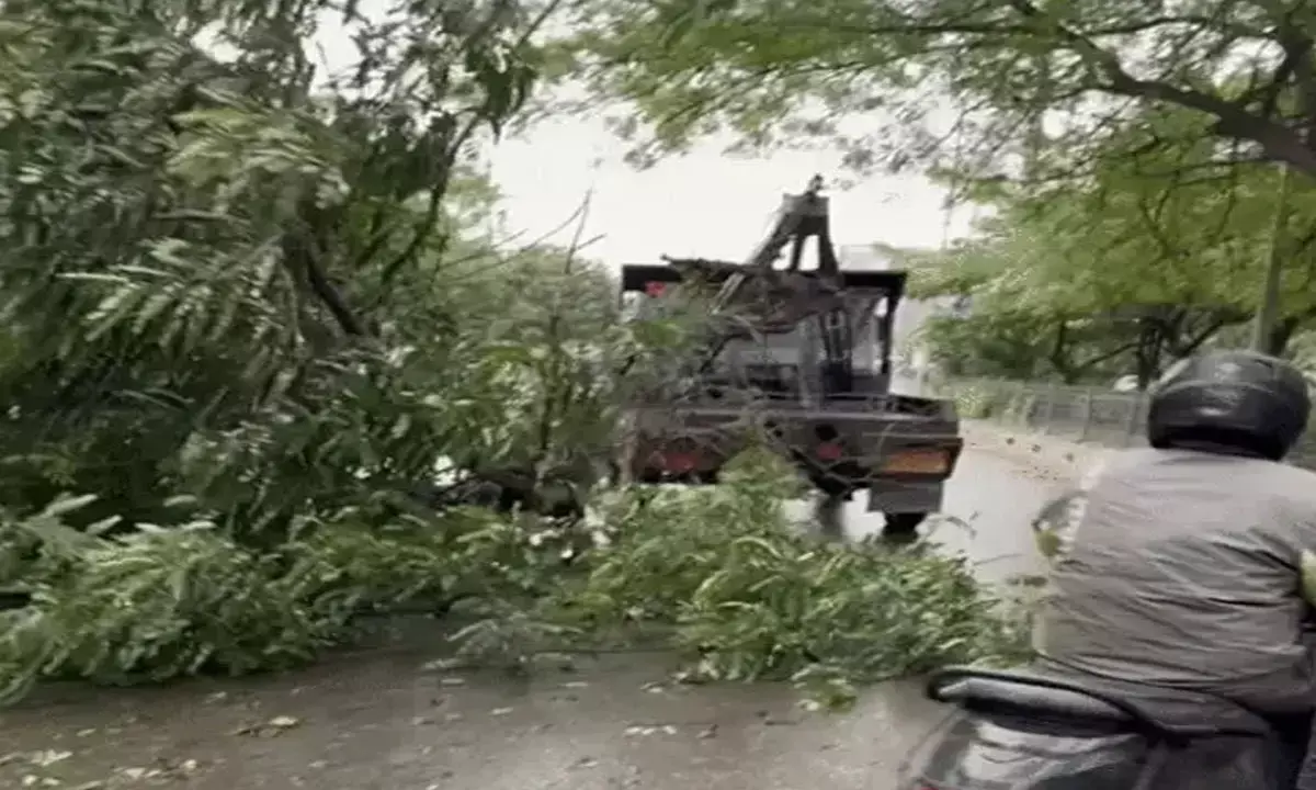 मौसम विभाग ने चेताया, हरियाणा के कई जिलों में रात को आएगी तेज आंधी, बचकर रहें