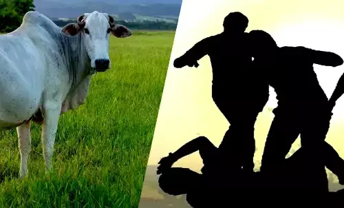 Delhi Beef smuggling