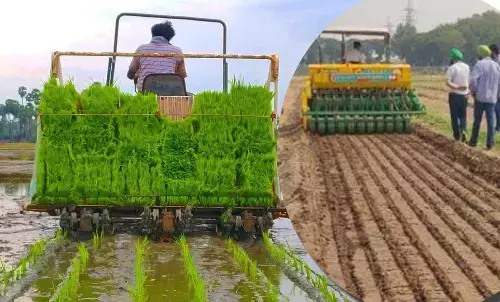 paddy sowing advanced method