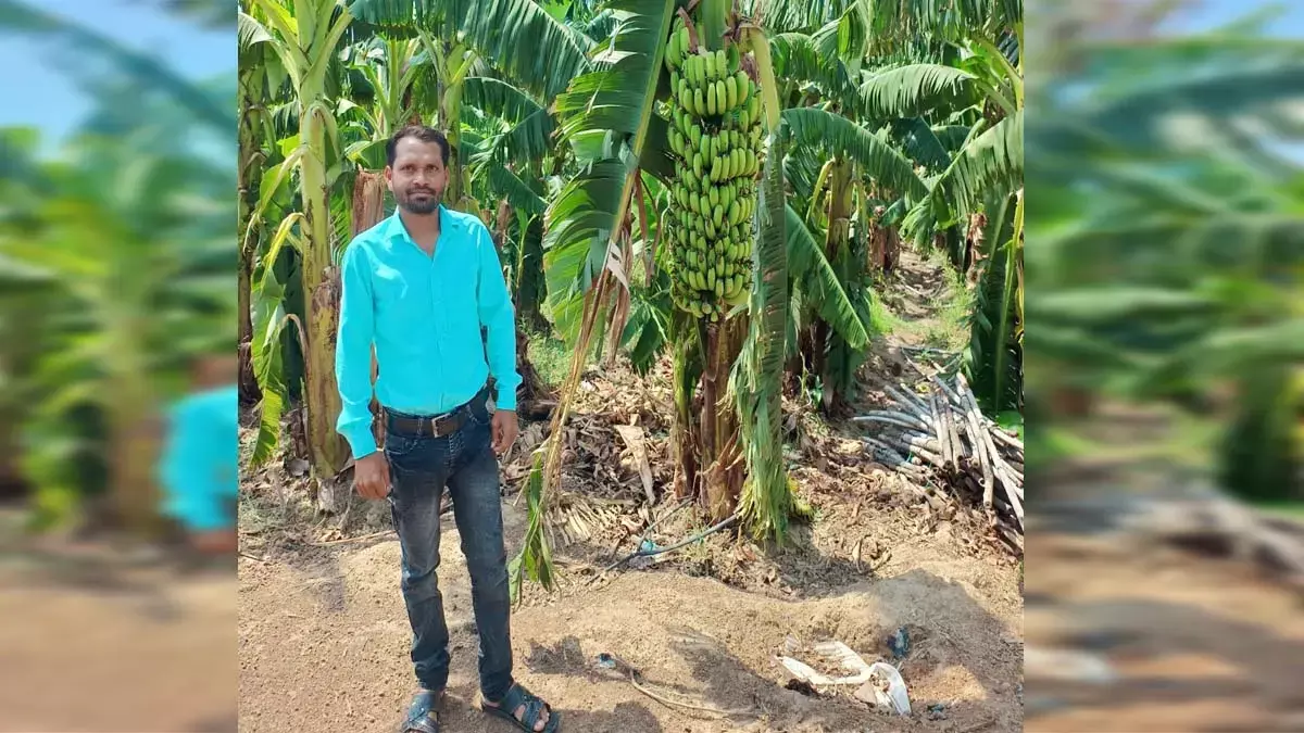 Farmer Suresh Kumar Nathani Farmer Suresh Kumar Nathani