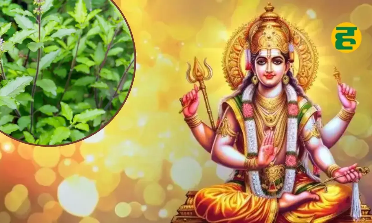 निर्जला एकादशी पर करें ये अचूक उपाय, जीवनभर होगी खुशियों की बरसात