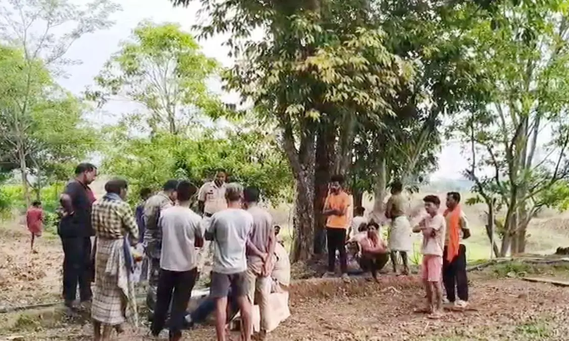 Sensation spread in the village