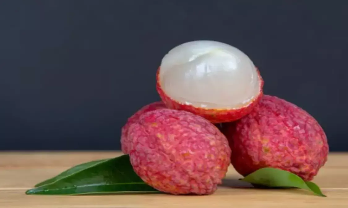 Health Tips: रोज खाएं मीठी लीची, सेहत को मिलेंगे ये 5 जबरदस्त फायदे