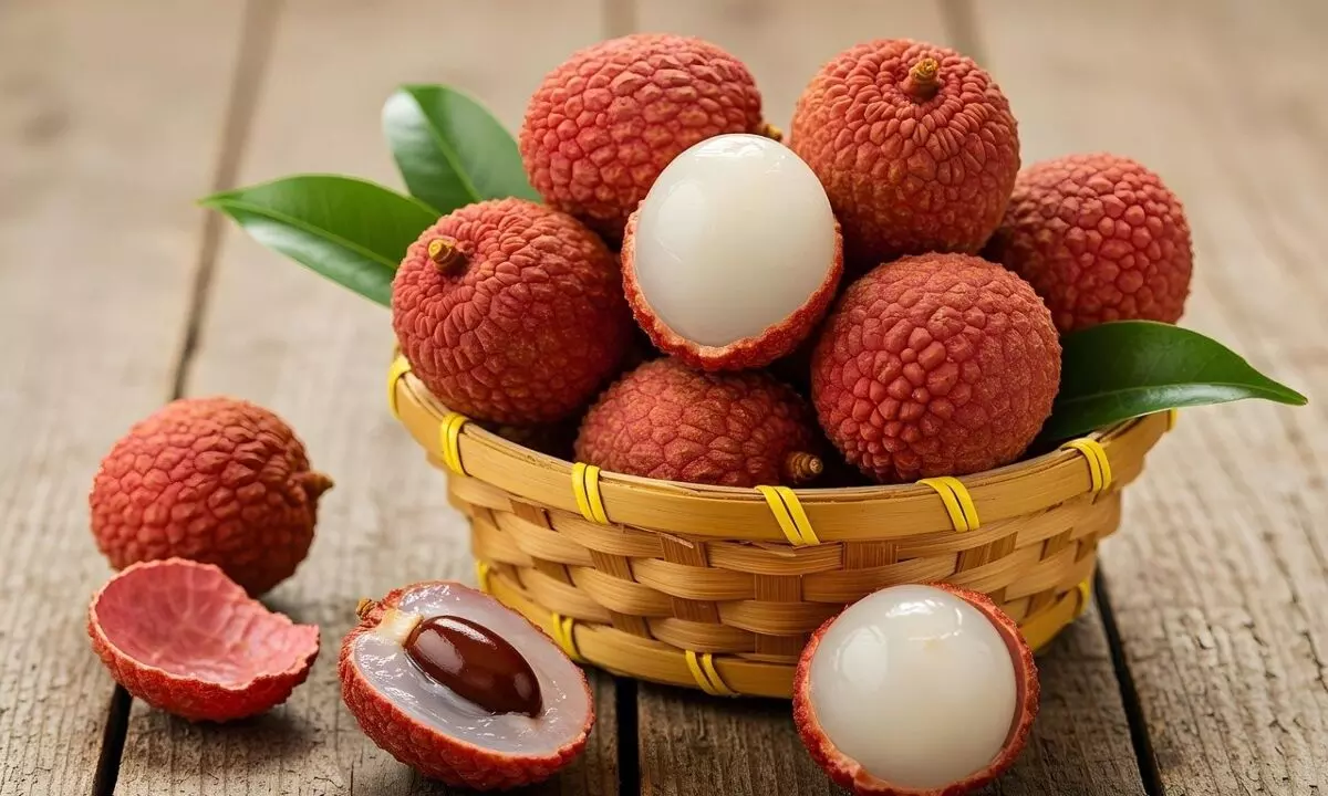 गर्मी में स्वाद के साथ सेहत के लिए भी फायदेमंद है लीची, जानें किन लोगों को रहना चाहिए सावधान गर्मी में स्वाद के साथ सेहत के लिए भी फायदेमंद है लीची, जानें किन लोगों को रहना चाहिए सावधान