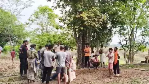 Sensation spread in the village Sensation spread in the village