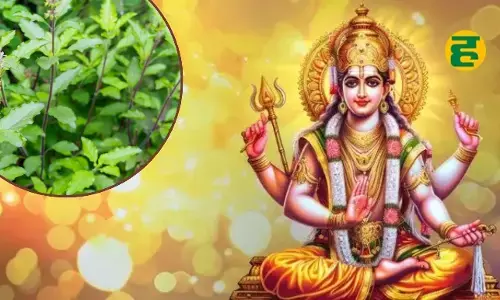 निर्जला एकादशी पर करें ये अचूक उपाय, जीवनभर होगी खुशियों की बरसात