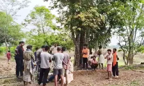 Sensation spread in the village