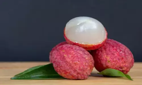 Health Tips: रोज खाएं मीठी लीची, सेहत को मिलेंगे ये 5 जबरदस्त फायदे Health Tips: रोज खाएं मीठी लीची, सेहत को मिलेंगे ये 5 जबरदस्त फायदे