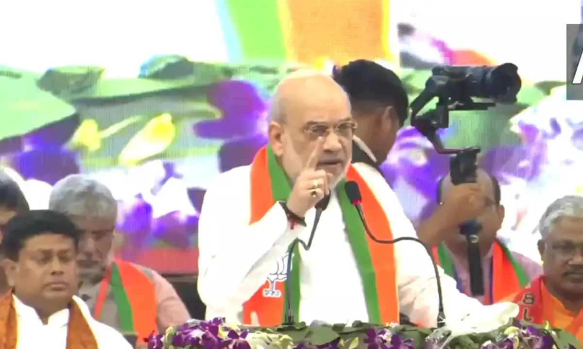 Amit Shah on Mamata Banerjee