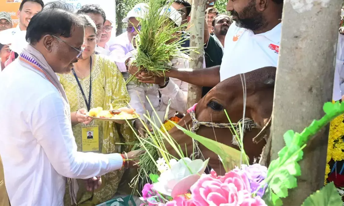 जनजातीय समुदाय के चयनित हितग्राहियों को दुधारू पशु का वितरण