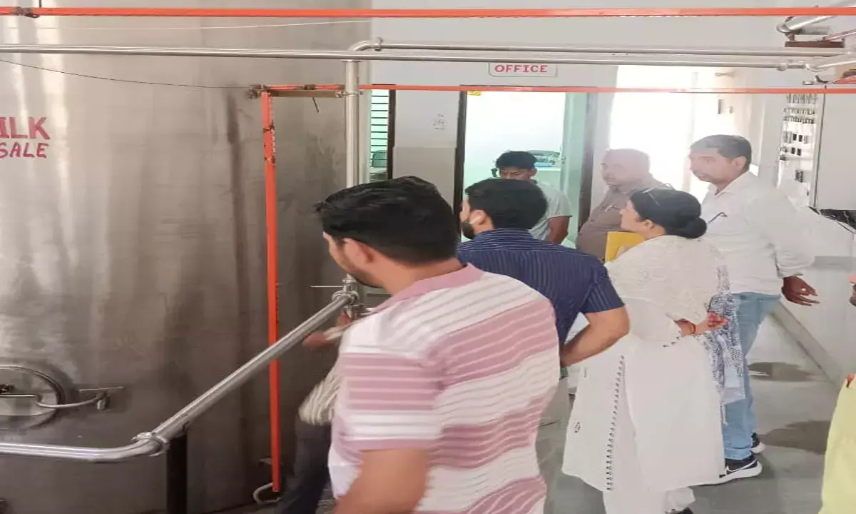 हिसार के चिलिंग प्लांट से 3000 लीटर संदिग्ध दूध पकड़ा, रोहतक के अमूल प्लांट में होता था सप्लाई