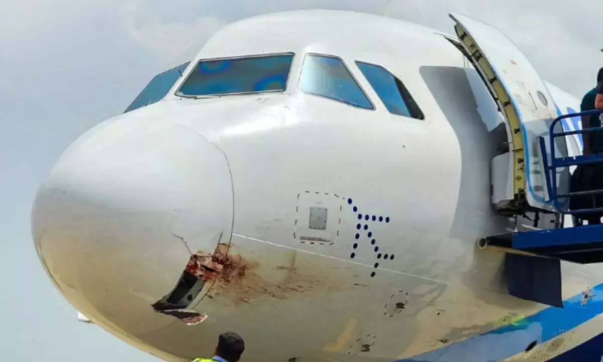 रांची एयरपोर्ट पर पक्षी से टकराने के बाद उतारा गया विमान, 175 यात्री थे सवार