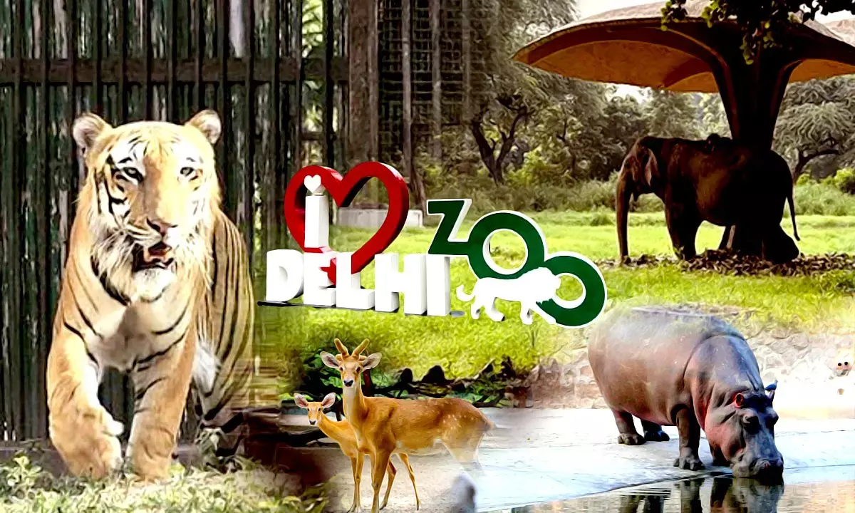Delhi Zoo Reopen