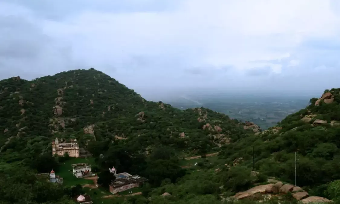 इस गर्मी बनाएं धोसी पहाड़ी घूमने का प्लान, एक तरफ हरियाणा तो दूसरी तरफ राजस्थान की खूबसूरती