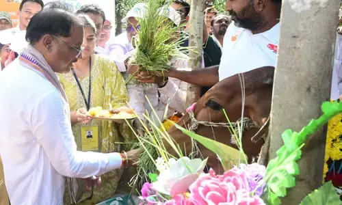 जनजातीय समुदाय के चयनित हितग्राहियों को दुधारू पशु का वितरण
