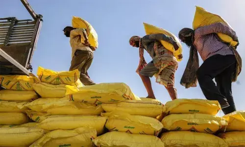सोसाइटियों से खाली लौट रहे किसान : डीएपी गायब, बाजार में मिलती जुलती खाद महंगी, क्वालिटी की जांच तक नहीं