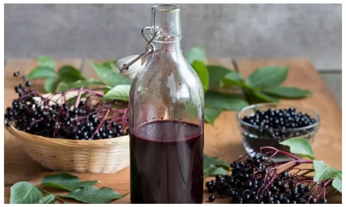 jamun vinegar benefits