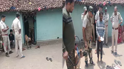 After the remains of a leopard were found in Girwani village of Manendragarh After the remains of a leopard were found in Girwani village of Manendragarh