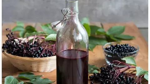 jamun vinegar benefits