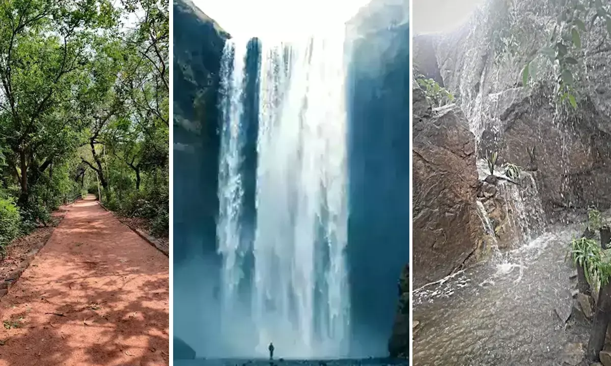 Feel Like Rishikesh in Sanjay Van