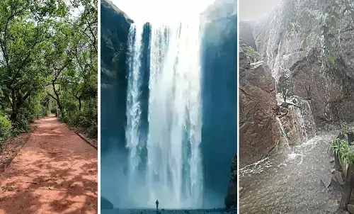 Feel Like Rishikesh in Sanjay Van