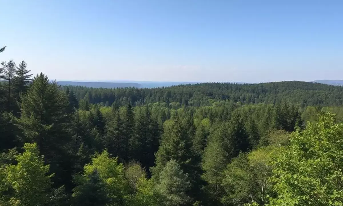 Environment Day 2025