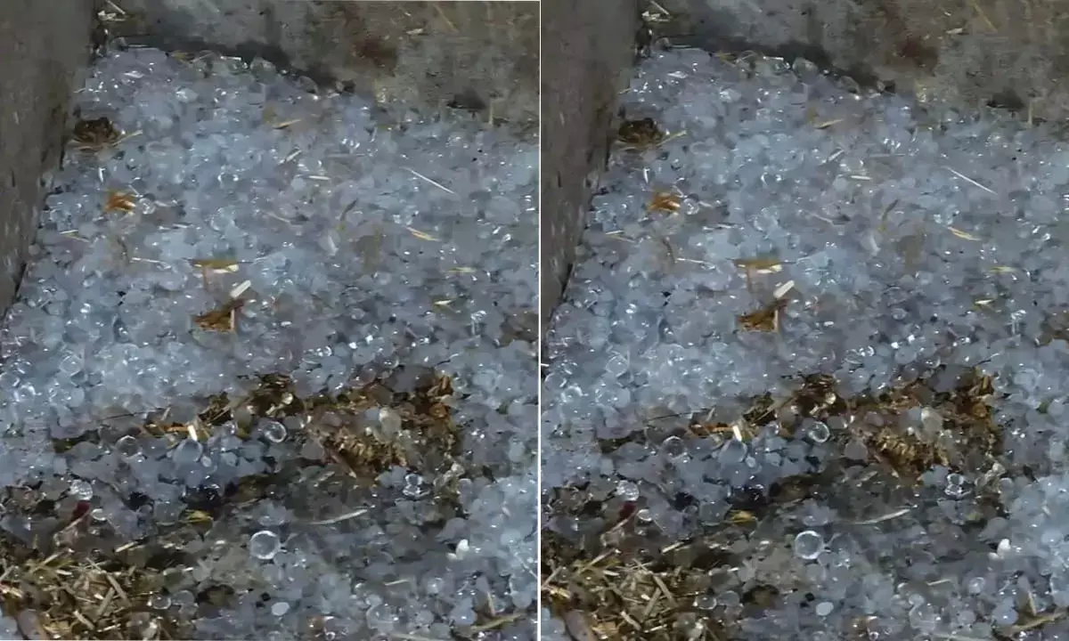 हरियाणा के कई जिलों में बारिश और ओलावृष्टि ने लोगों को चौंकाया, तेज हवाओं और बादलों का सिलसिला जारी