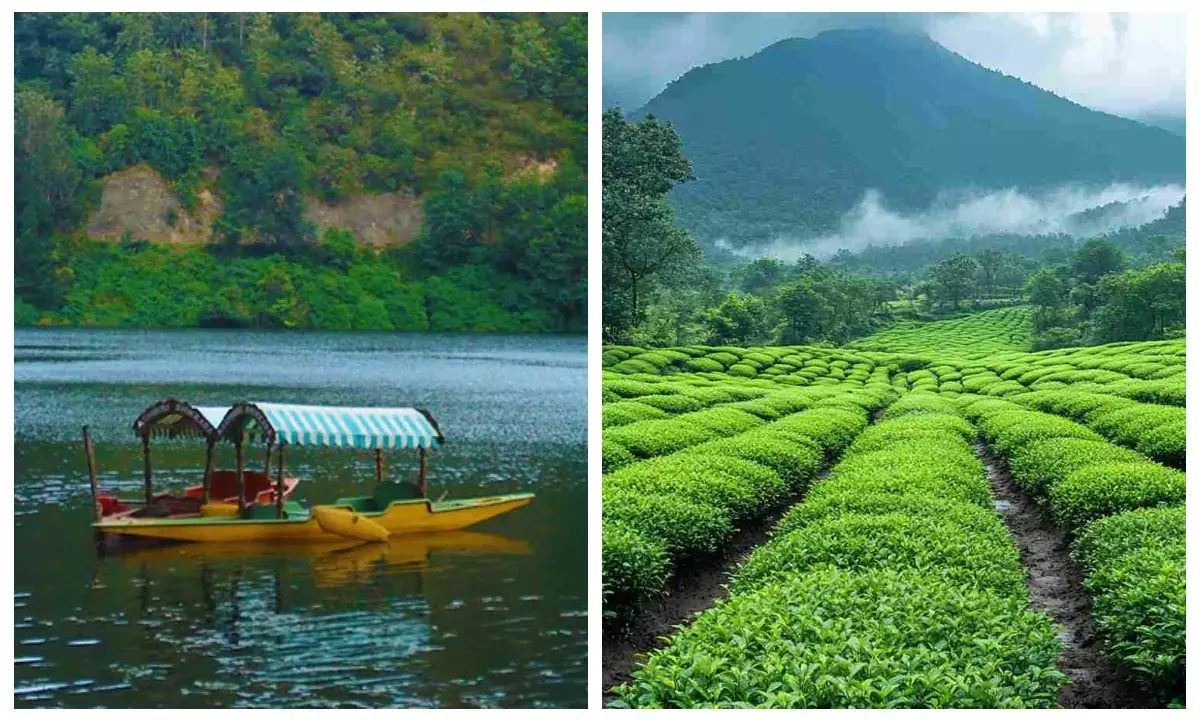 Munnar famous places