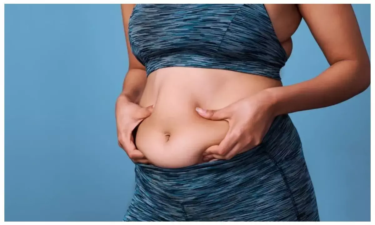 how to lose belly fat