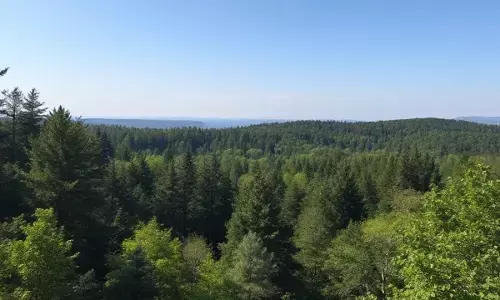 Environment Day 2025