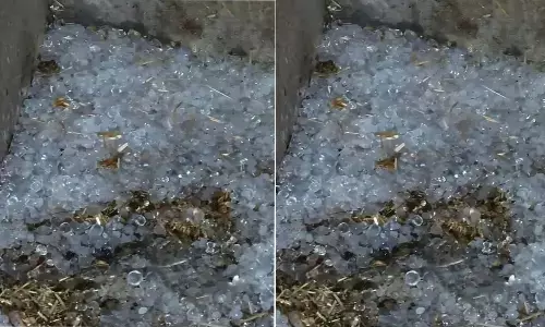 हरियाणा के कई जिलों में बारिश और ओलावृष्टि ने लोगों को चौंकाया, तेज हवाओं और बादलों का सिलसिला जारी