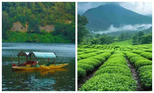 Munnar famous places