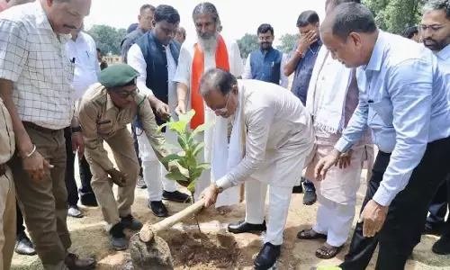 CM Vishnudev Sai planting an almond tree