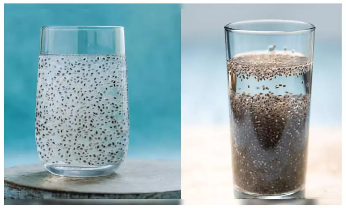 chia vs sabja seeds