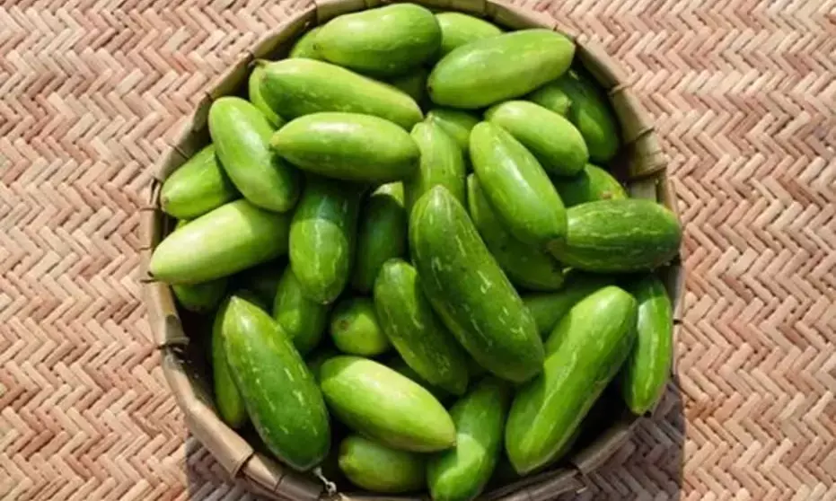 kundru health benefits