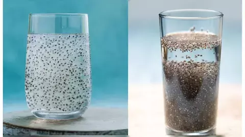 chia vs sabja seeds