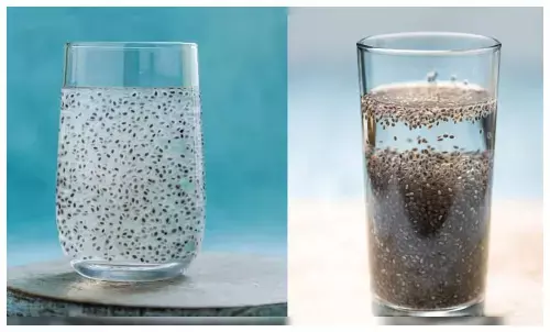 chia vs sabja seeds