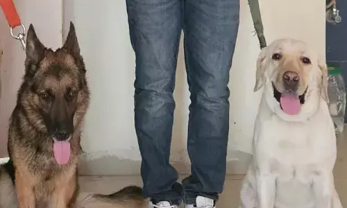 जैक और रैम्बो बने नशा तस्करों के लिए आफत, एक माह में 10 जगह से नशीले पदार्थ पकड़वाए