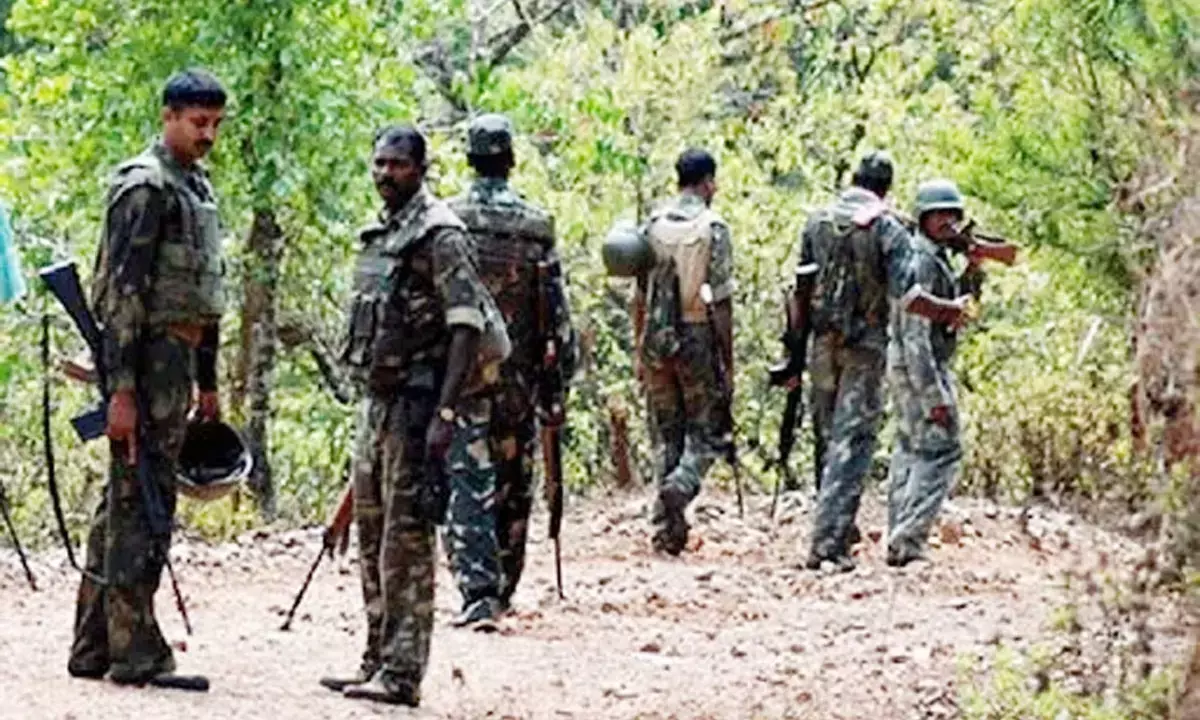 Bijapur Encounter National Park Naxalites killed security forces