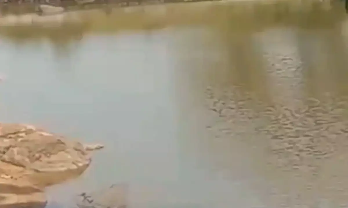 तालाब में डूबने से बुजुर्ग महिला की मौत: नहाने के दौरान हुआ हादसा