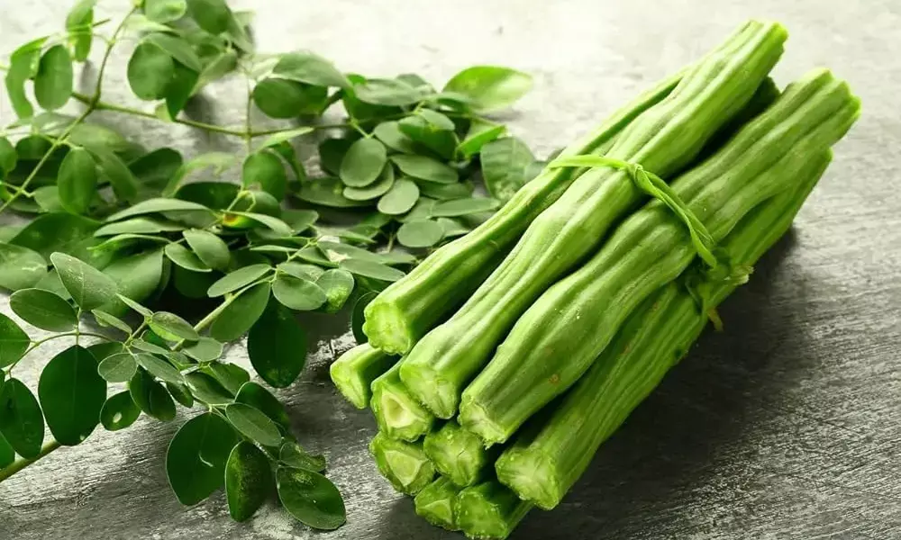 Moringa Health Benefits