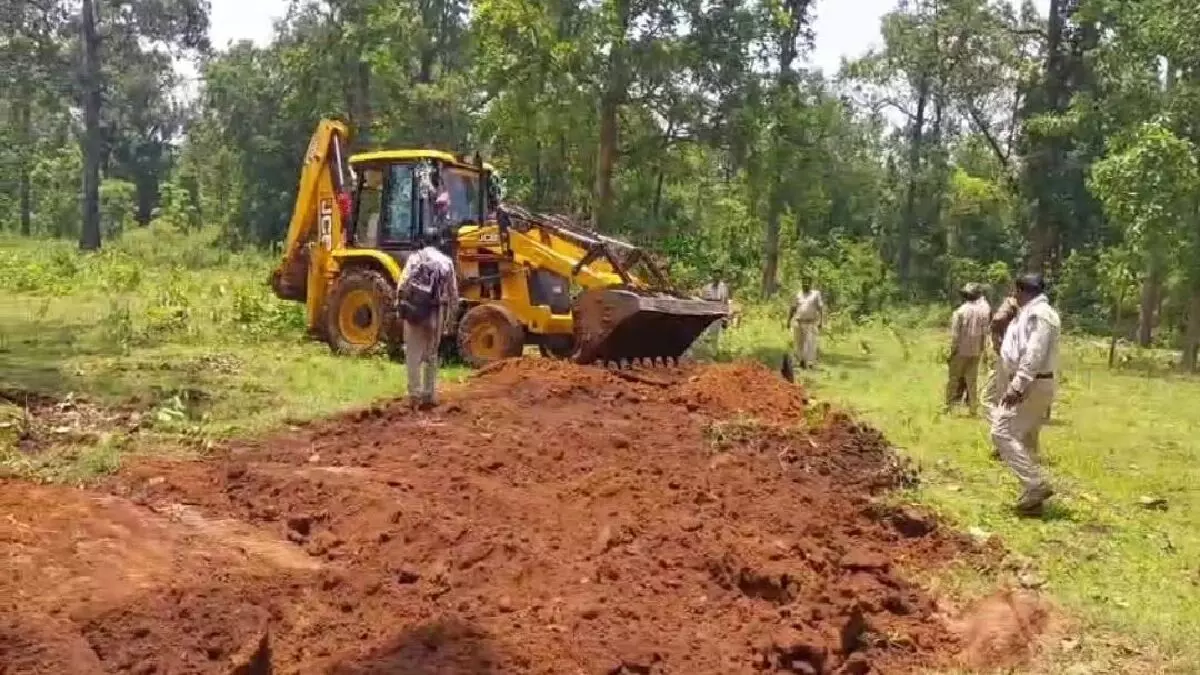 jagdalpur forest jagdalpur forest