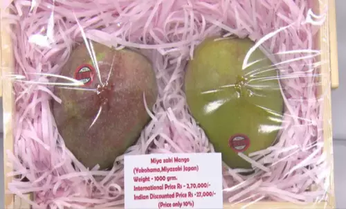 यह आम... है बहुत खास :  कीमत पौने तीन लाख रुपए किलो