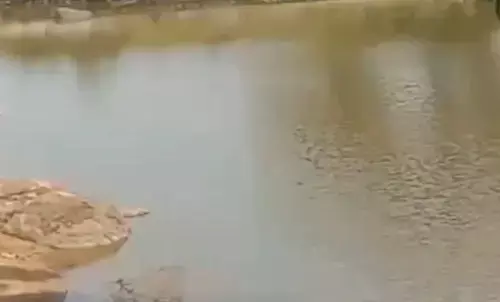 तालाब में डूबने से बुजुर्ग महिला की मौत: नहाने के दौरान हुआ हादसा