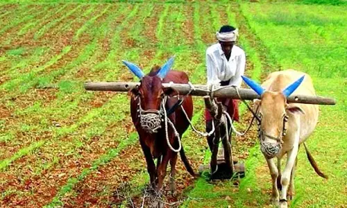 Kisan Credit Card Scheme Benefits