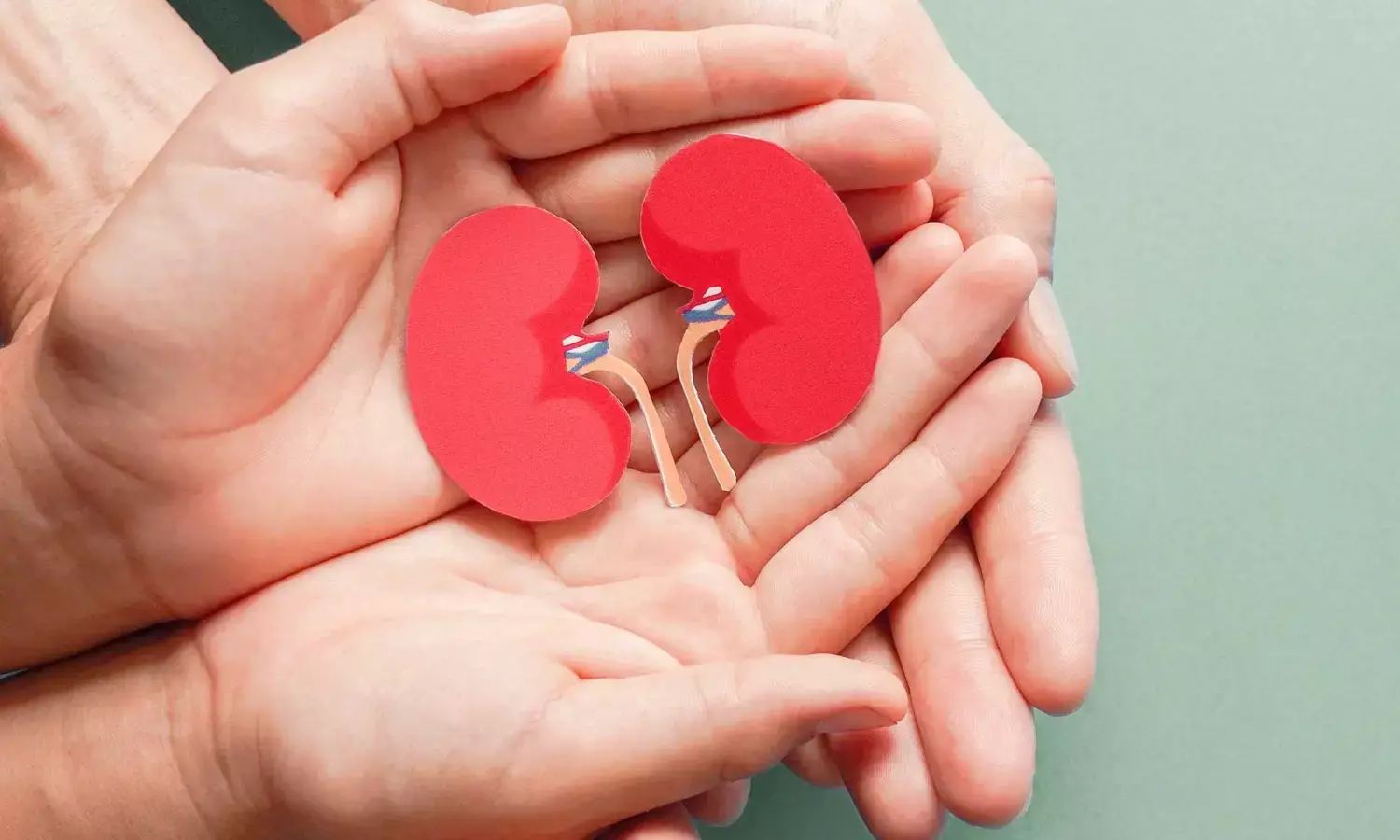 foods prevent kidney damage foods prevent kidney damage